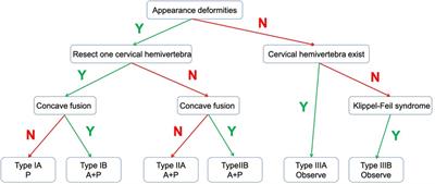 A novel classification of subaxial cervical hemivertebrae and associated surgical management